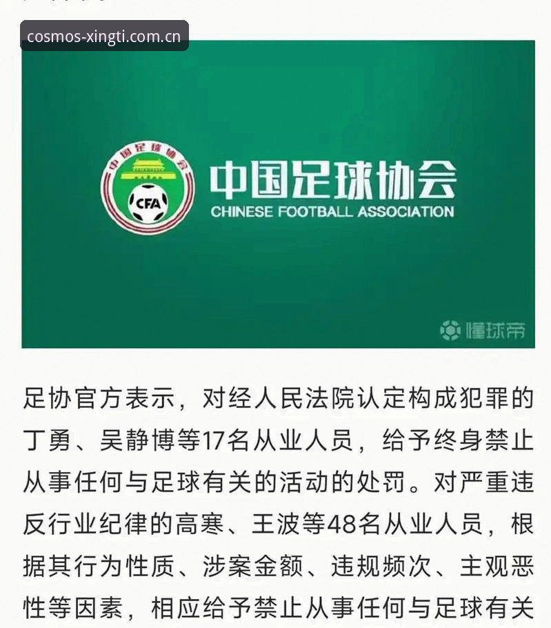 足协第三批禁足名单详解：65人受罚，终身禁赛17人